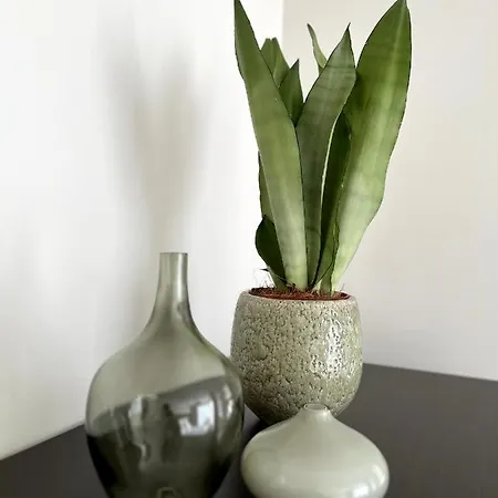 Moka Living Ewald - 2zi Apartment-fewo, E-charger, Barrierearm, Boxspring, Tv * Borkheide