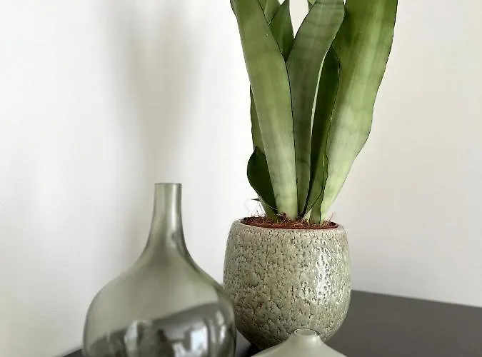 Moka Living Ewald - 2zi Apartment-fewo, E-charger, Barrierearm, Boxspring, Tv * בורקהיידה